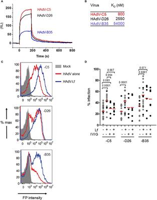 <mark class="highlighted">Lactoferrin</mark> Retargets Human Adenoviruses to TLR4 to Induce an Abortive NLRP3-Associated Pyroptotic Response in Human Phagocytes